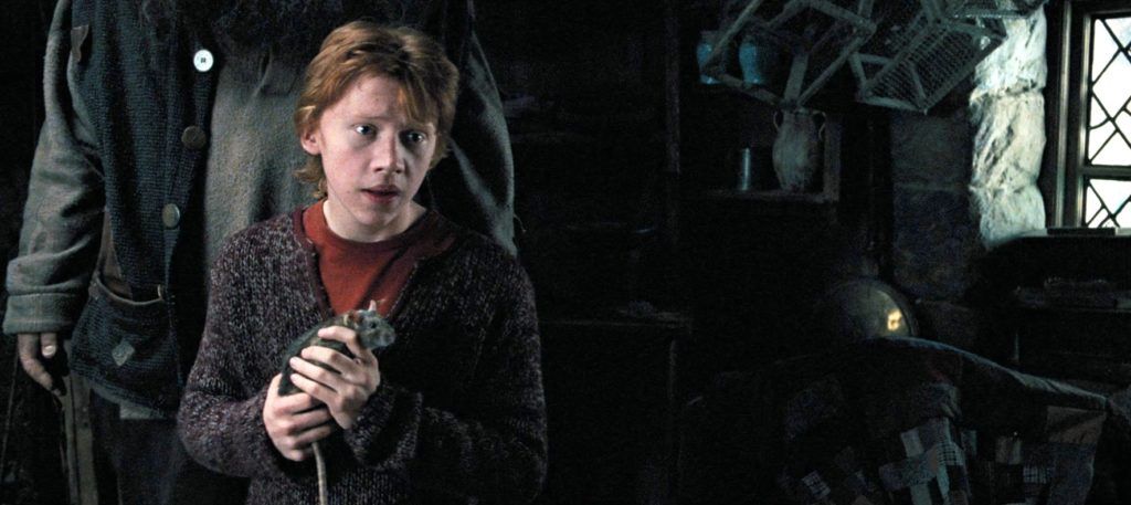 Harry Potter Setinde Yaşanan Tuhaf Olaylar - Sinema Hanedanı