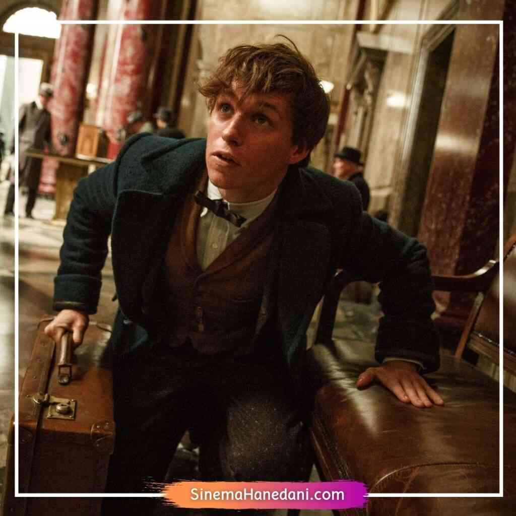Harry Potter Tarzında Film Önerileri - Sinema Hanedanı